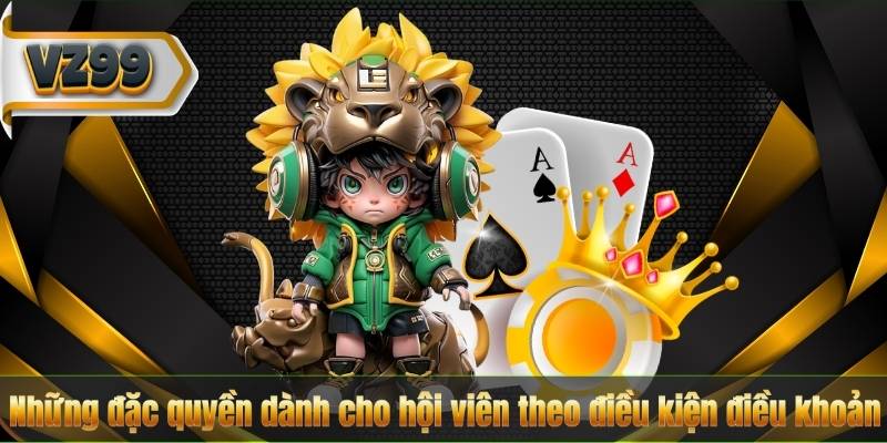 Điều Kiện Điều Khoản 4 Những đặc quyền dành cho hội viên theo điều kiện điều khoản