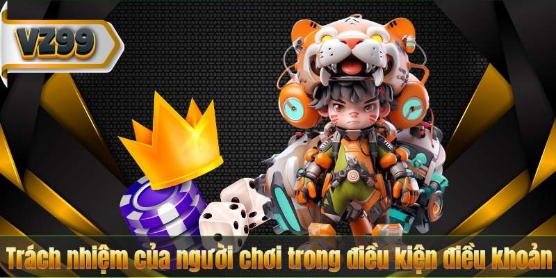 Điều Kiện Điều Khoản 5 Trách nhiệm của người chơi trong điều kiện điều khoản